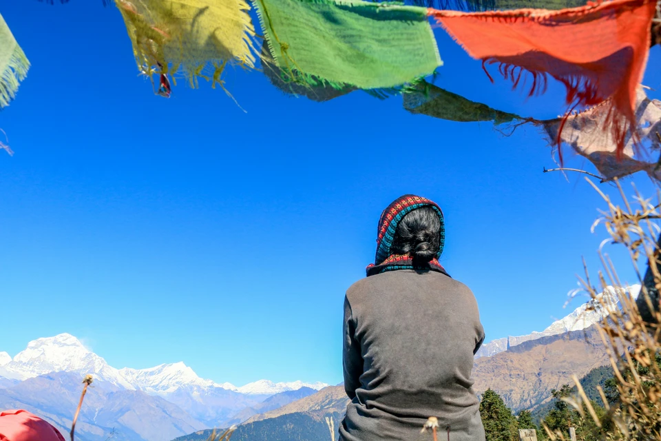 photo 1661371986628 dee95b012011