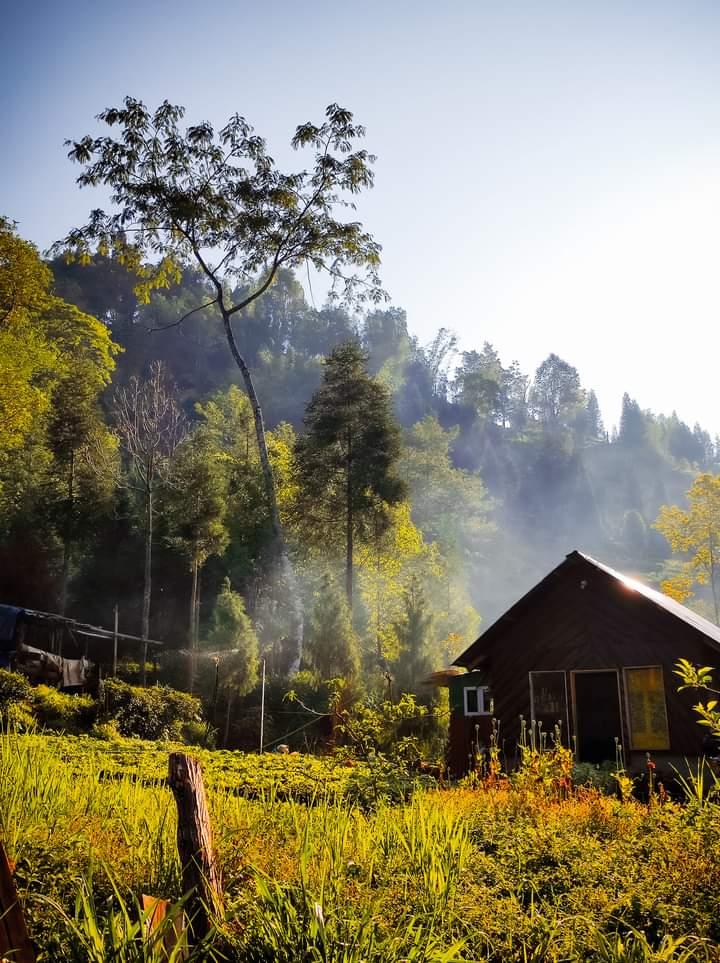 482533561 1293427825066201 5479040050470306522 n